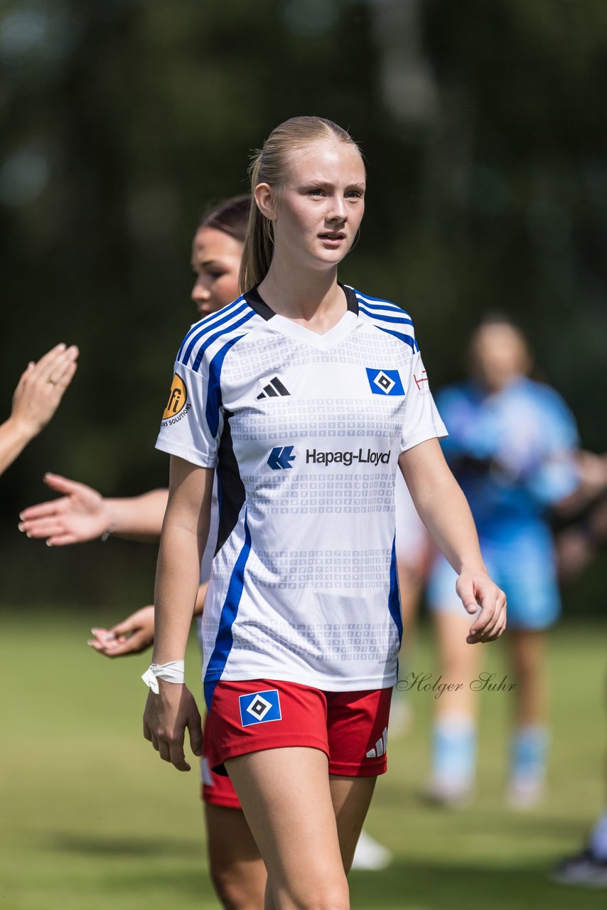 Bild 247 - wBJ Hamburger SV - VfL Wolfsburg : Ergebnis: 5:1